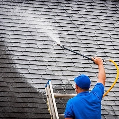 SOFT ROOF WASHING